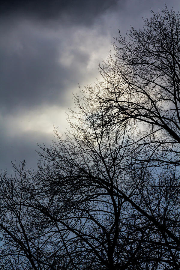 Storm Clouds and Trees #1 Photograph by Robert Ullmann