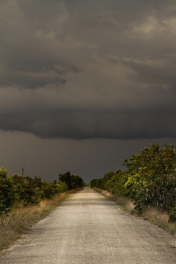 Storm Over the Everglades Photograph by Rudy Umans