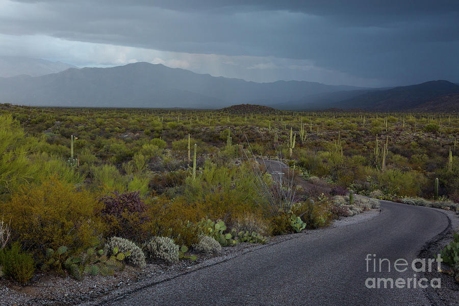 Stormy Desert Road #1 Photograph by Billy Bateman