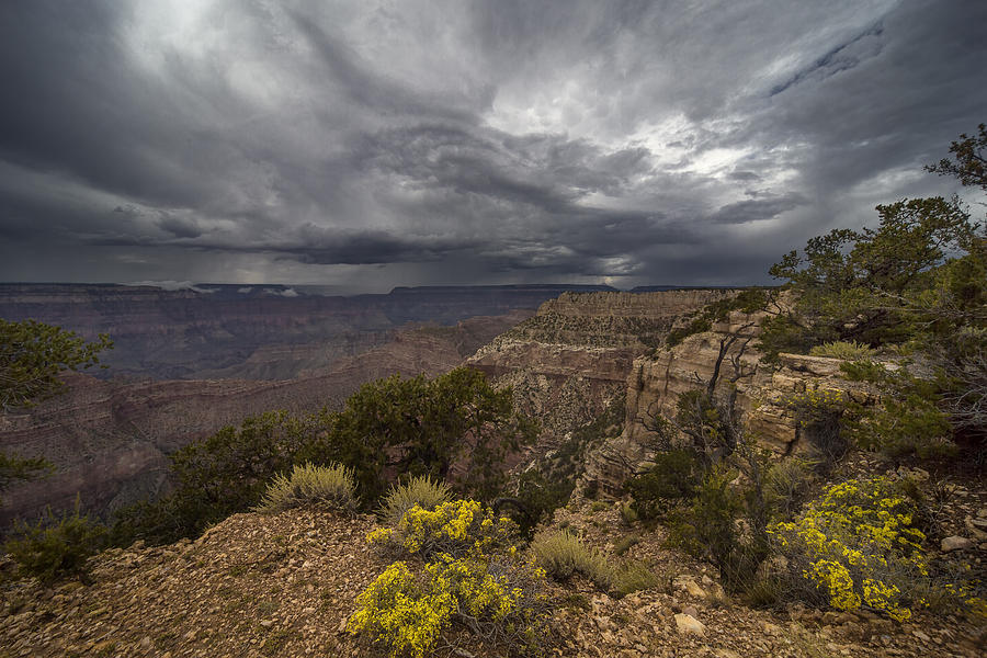 Stormy Grand Canyon #1 Photograph by Michael Just