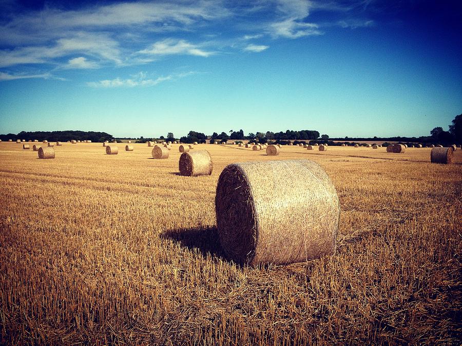 Straw bales at harvest time #1 Photograph by Seeables Visual Arts