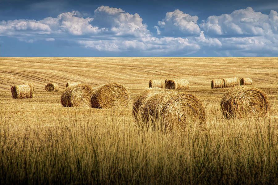 Straw Hay Bales in a Summer Harvest Field in Montana #2 Photograph by Randall Nyhof