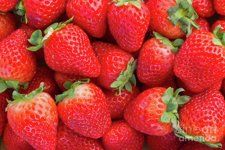 Strawberry  #2 Photograph by Anastasy Yarmolovich