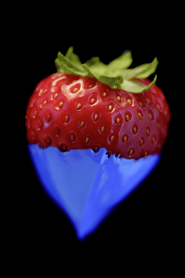 Strawberry Blue #2 Photograph by Al Hurley