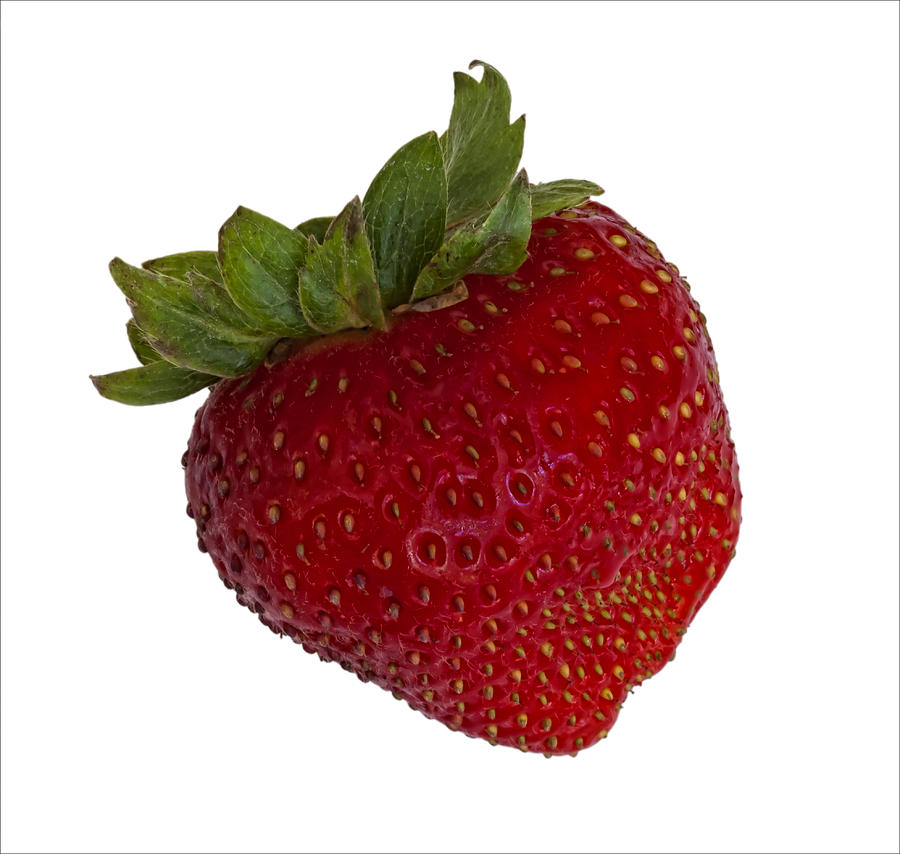 Strawberry #1 Photograph by Robert Ullmann