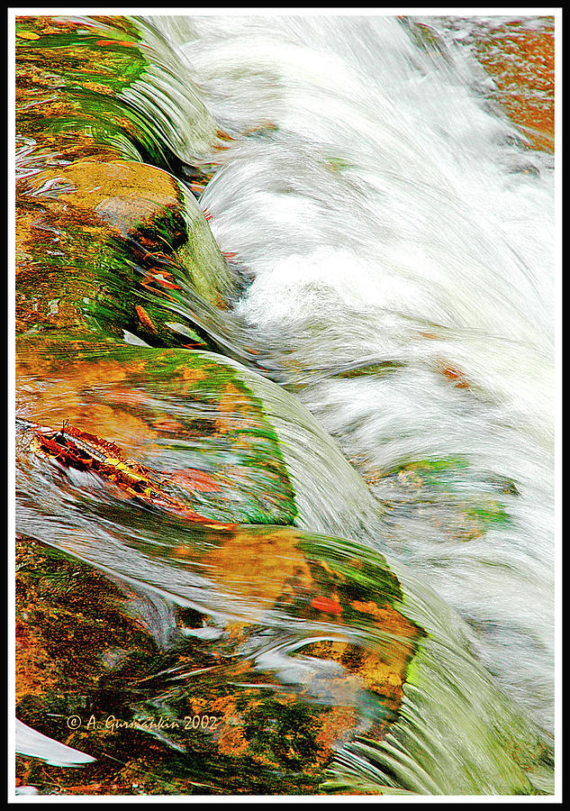 Stream Flowing Over Algae Covered Rocks Digital Art #1 Digital Art by A Macarthur Gurmankin