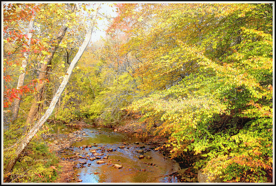 Stream in Fall, Montgomery County, Pennsylvania Landmark #1 Photograph by A Macarthur Gurmankin