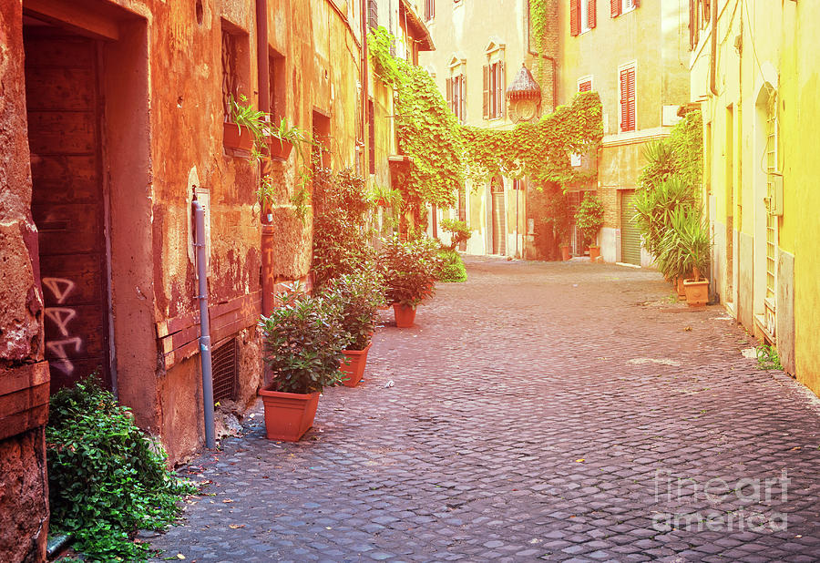 Street in Trastevere, Rome Photograph by Anastasy Yarmolovich