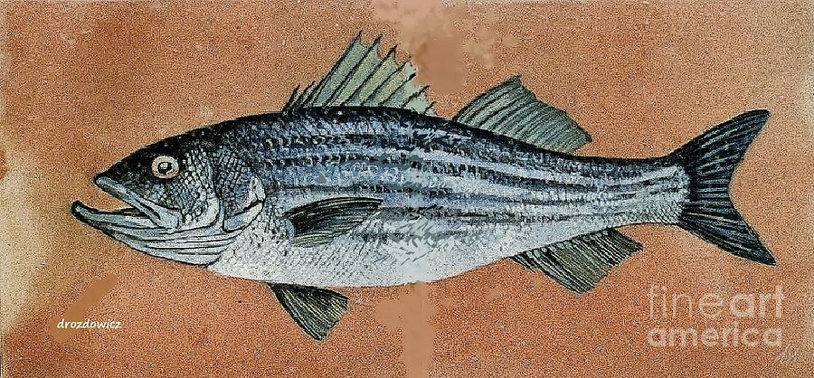 Striper #1 Painting by Andrew Drozdowicz