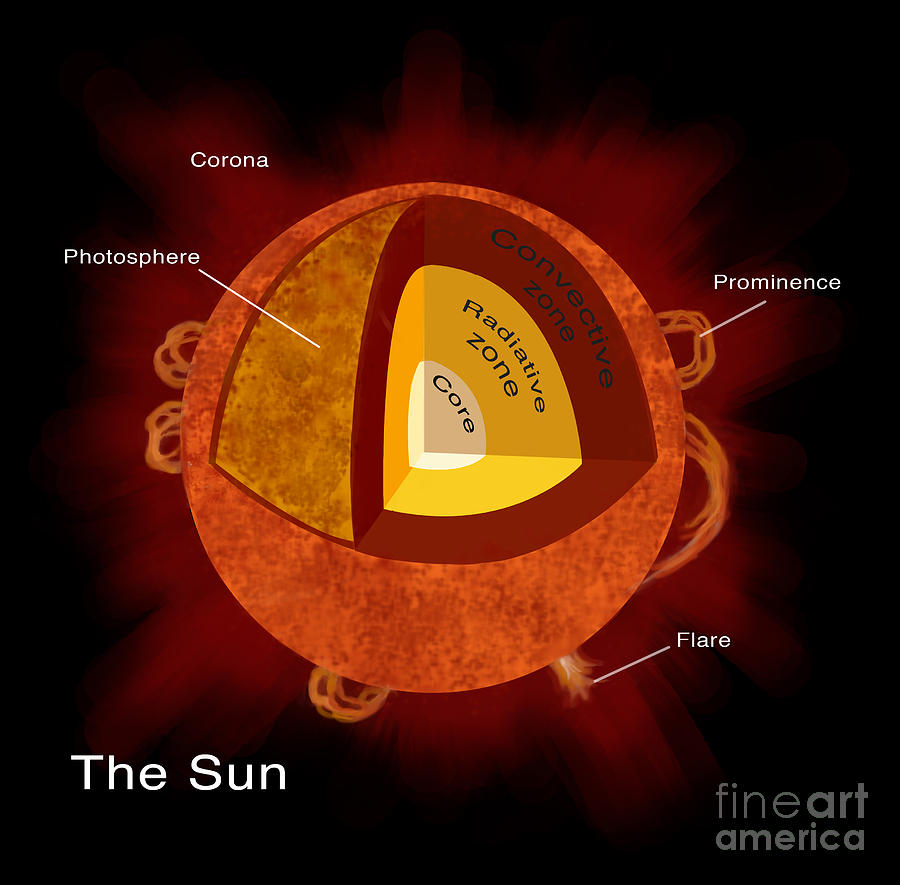 Structure Of Sun, Illustration #1 Photograph by Spencer Sutton