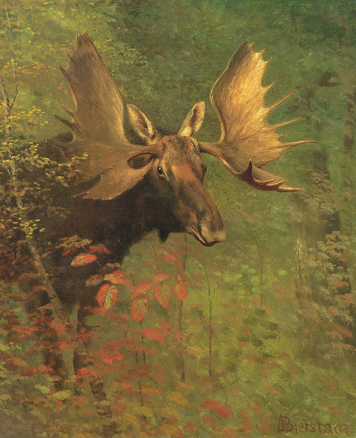 Study of a moose #6 Painting by Albert Bierstadt