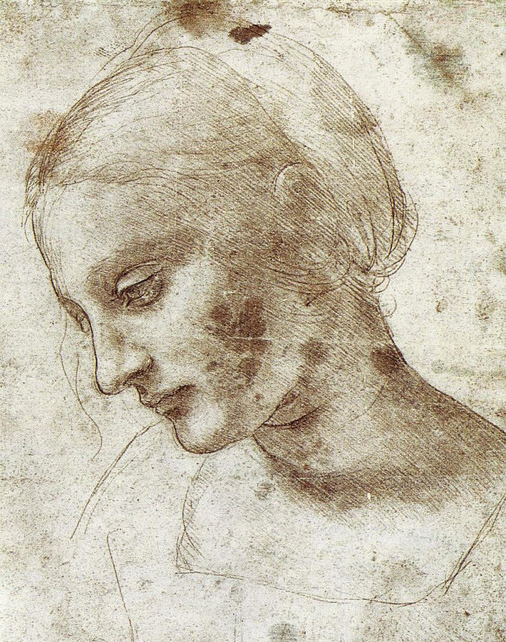 Leonardo Da Vinci Drawing - Study of a womans head #1 by Leonardo da Vinci