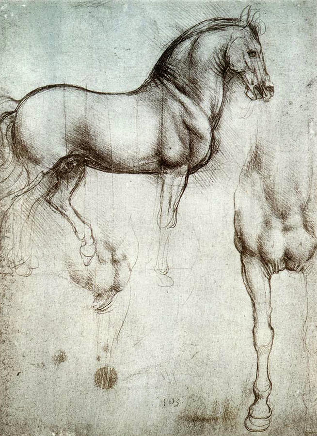 Study of horses #1 Drawing by Leonardo da Vinci