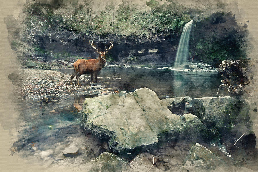Wildlife Photograph - Stuning cross processed waterfall landscape image of red deer st #1 by Matthew Gibson