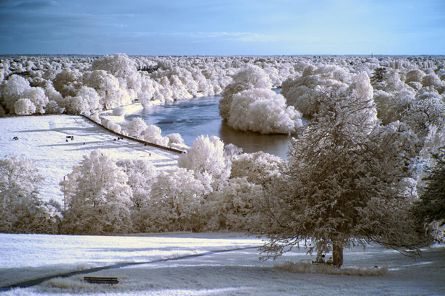 Unique Photograph - Stunning beautiful unique infra red landscape with false color  #1 by Matthew Gibson