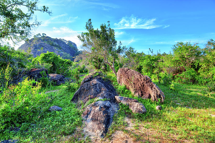 stunning landscape with rocks in the Yala Nationalpark #1 Photograph by Gina Koch
