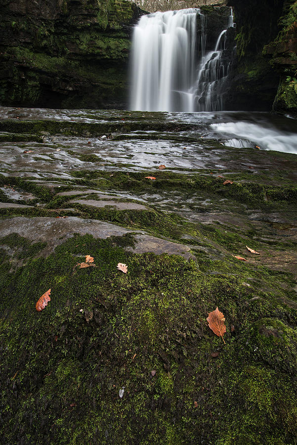 Tree Photograph - Stunning watefall landscape in cross over between Autumn and Win #1 by Matthew Gibson