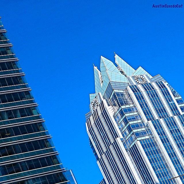 Skyscraper Photograph - Such A Perfect #bluesky Day In #1 by Austin Tuxedo Cat