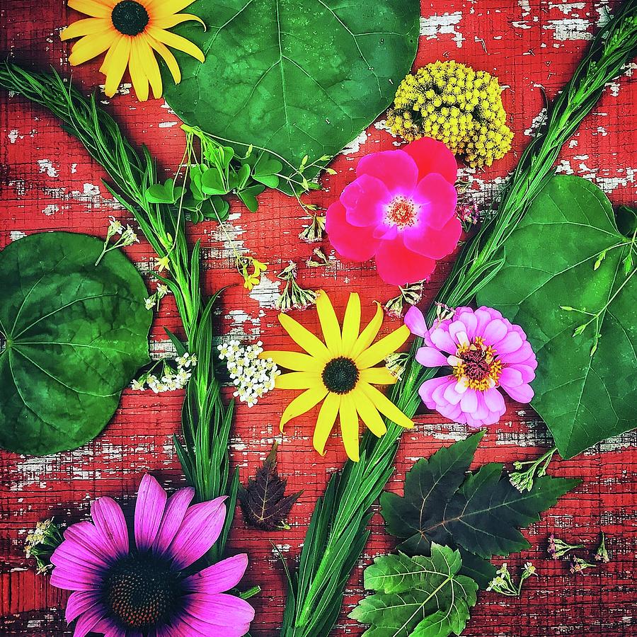 Summer Flowers #1 Photograph by Virginia Folkman