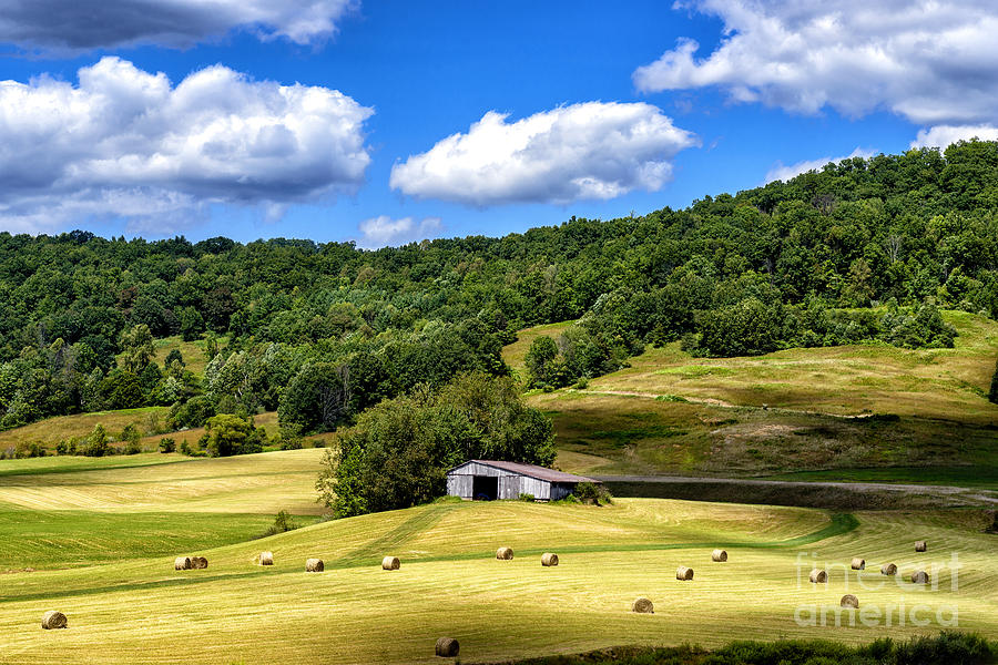 Summer Photograph - Summer Morning Hay Field #1 by Thomas R Fletcher
