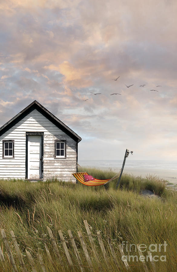 Summer shack with hammock by the ocean #1 Photograph by Sandra Cunningham