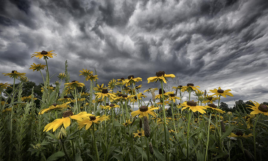 Summer Storm #1 Photograph by Robert Fawcett
