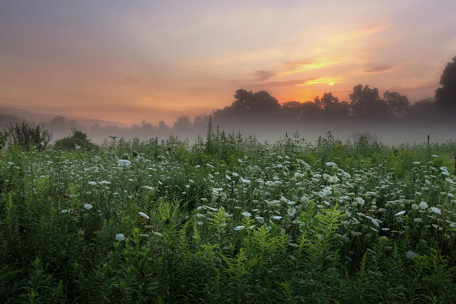 Summer Photograph - Summer Sunrise #1 by Bill Wakeley