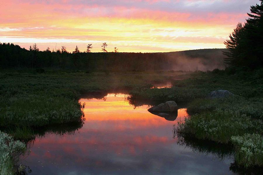 Moose Photograph - Summer Sunrise in Maine #1 by Brian M Lumley