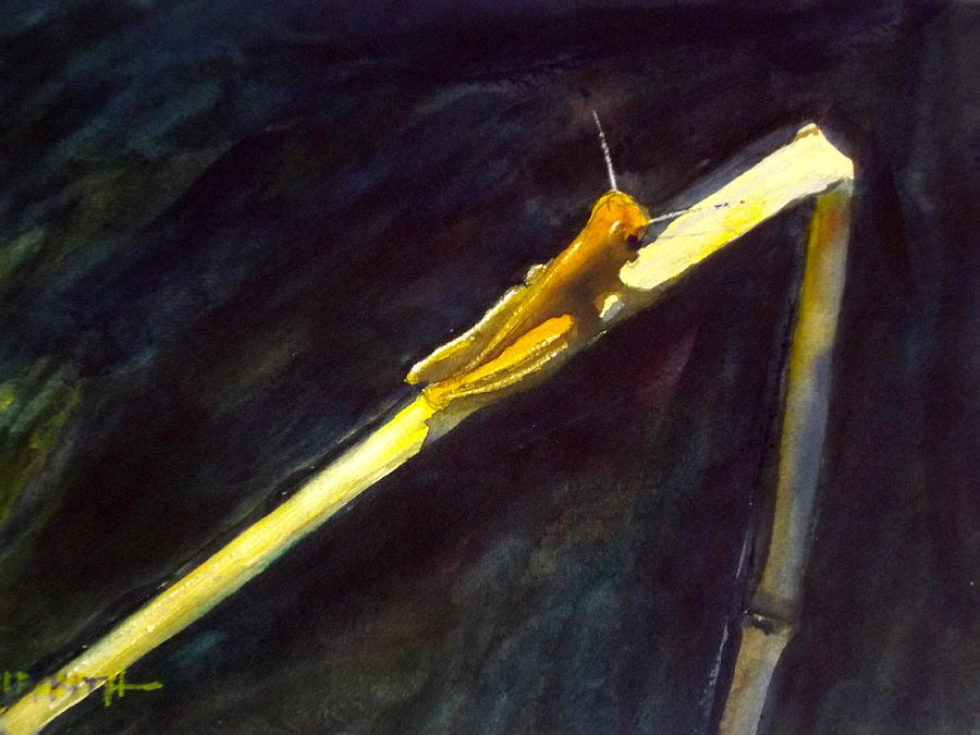 Grasshopper Painting - Sun Bather #1 by Victor Griffith