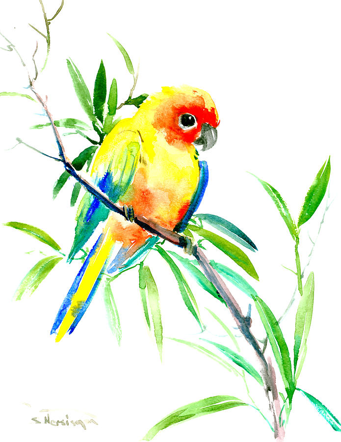 Sun Parakeet #1 Painting by Suren Nersisyan