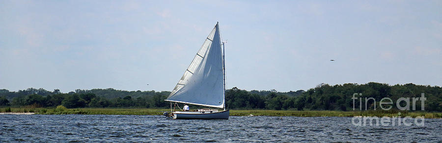 Sunday Afternoon Sail #1 Photograph by Mary Haber