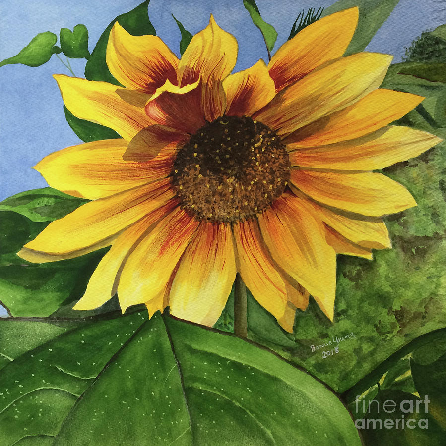 Sunflower #3 Painting by Bonnie Young