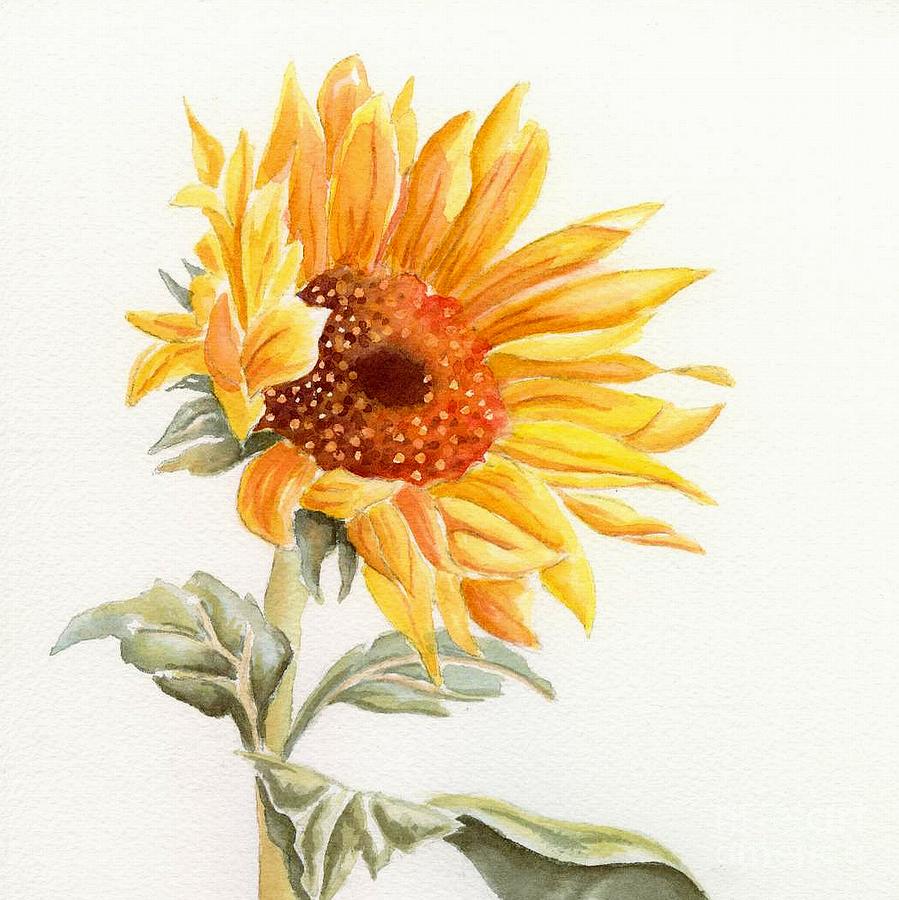 Sunflower Painting - Sunflower by Deborah Ronglien