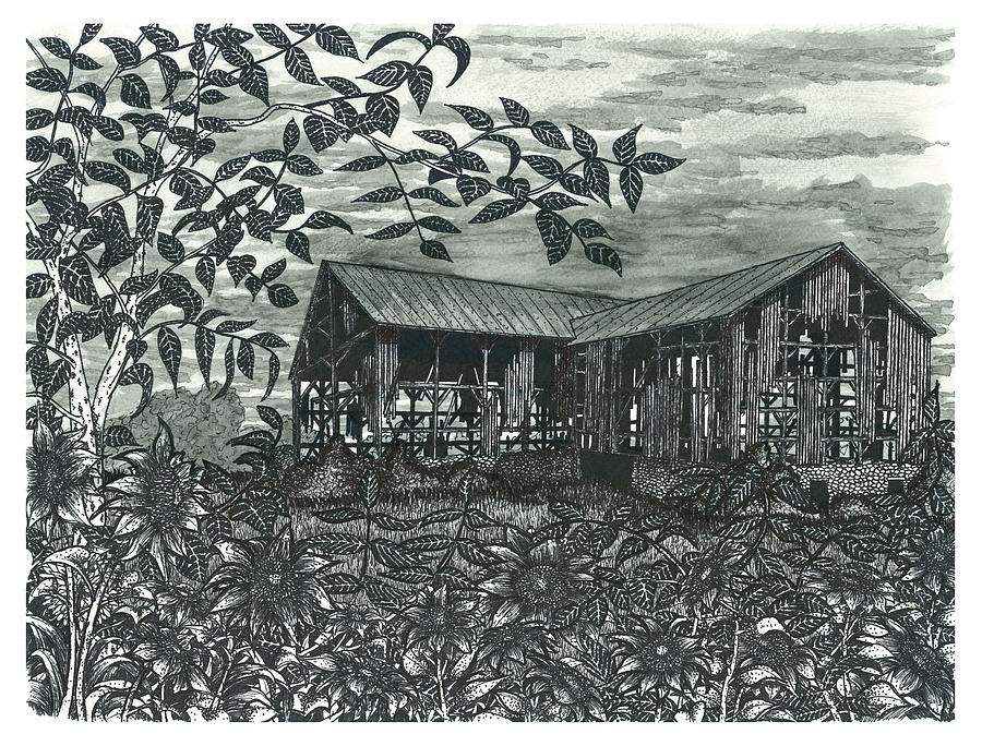 Sunflower Farm #2 Drawing by Jonathan Baldock