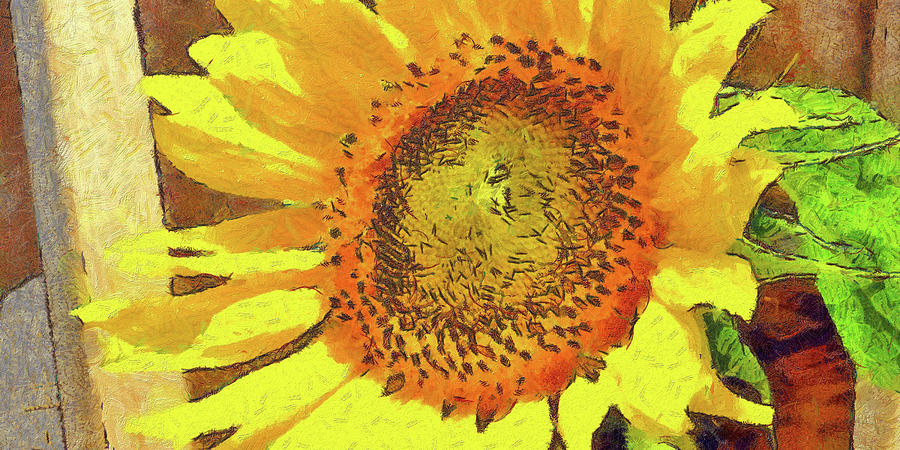 Sunflower growing along a fence #1 Digital Art by Digital Photographic Arts