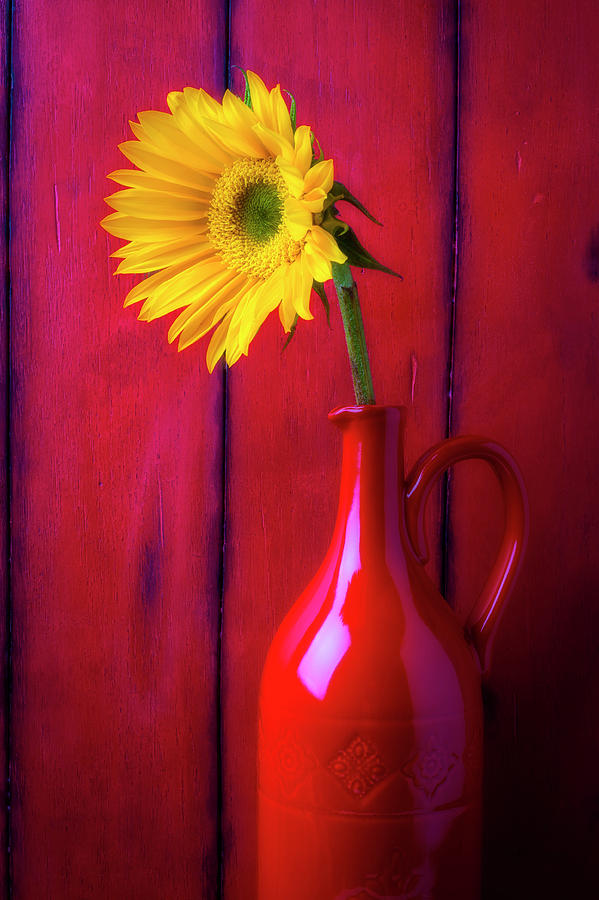 Sunflower In Red Pitcher #1 Photograph by Garry Gay