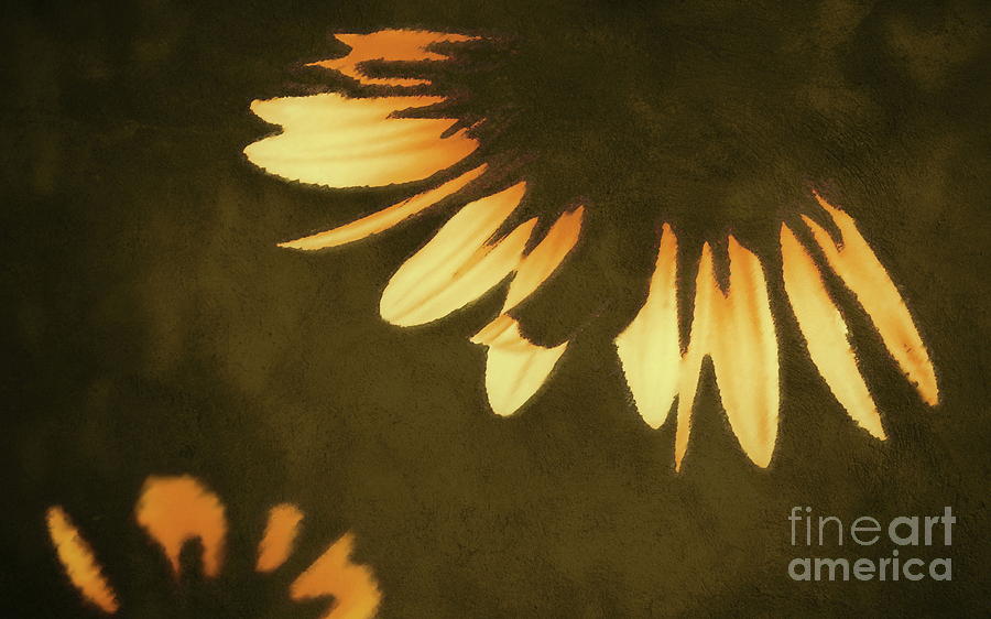 Sunflower Lampshade #1 Digital Art by Tim Richards