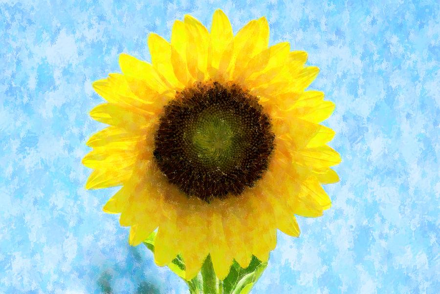Sunflower Proud #1 Mixed Media by Florene Welebny