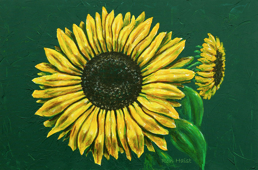 Sunflower #1 Pyrography by Ron Haist