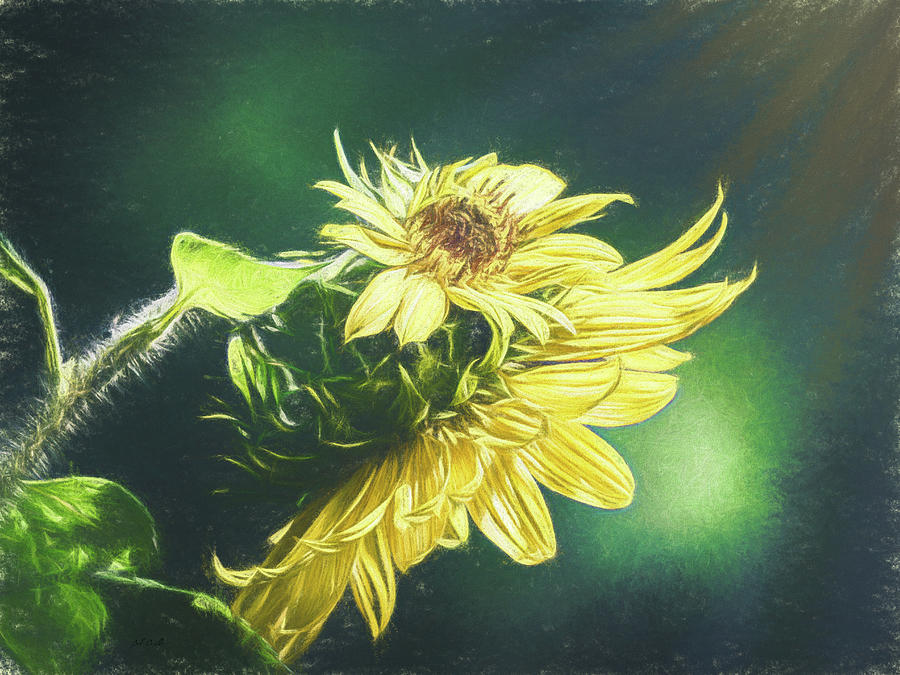 Sunflowers #2 Painting by Bob Orsillo