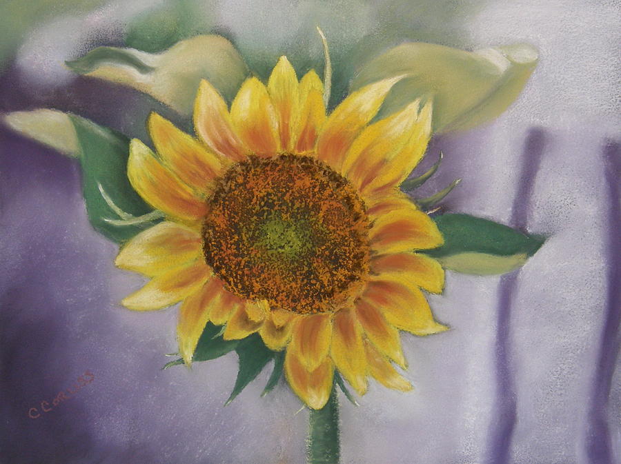 Sunflowers for Nancy Pastel by Carol Corliss