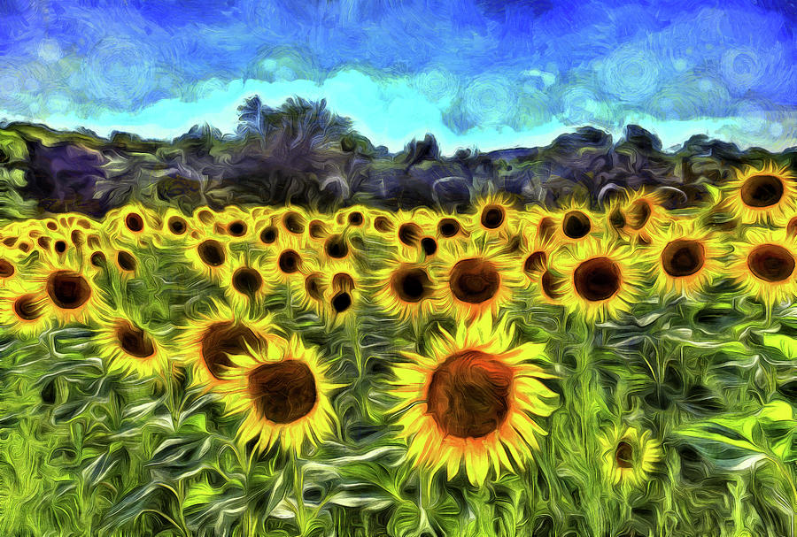 Sunflowers Van Gogh #1 Photograph by David Pyatt