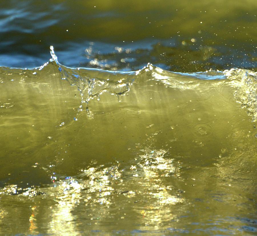 Sunlight In The Water  #1 Photograph by Lyle Crump
