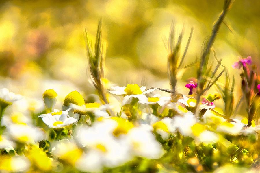 Sunny Flowers #2 Digital Art by Michael Goyberg