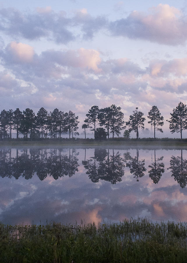 2009 Photograph - Sunrise Across the Pond by Lauren Brice 2009 Photograph - Sunrise Across the Pond by Lauren Brice