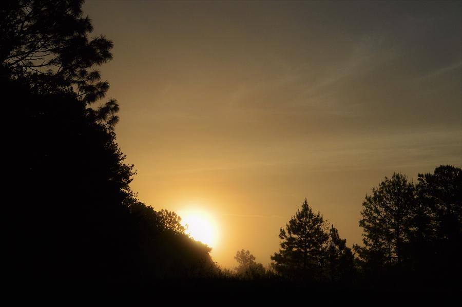 Sunrise and Fog #1 Photograph by Warren Thompson