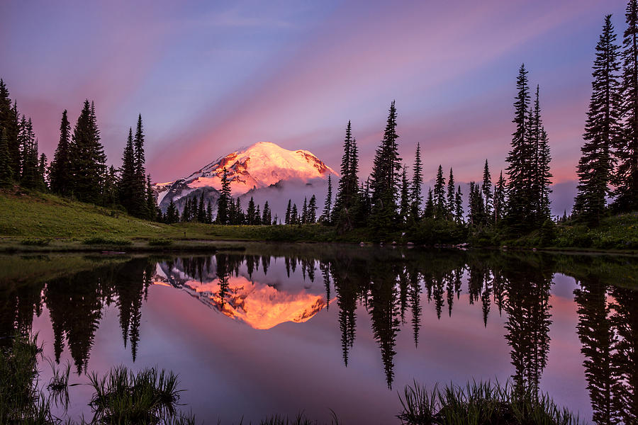 Sunrise at Mount Rainier #1 Photograph by Philip Cho