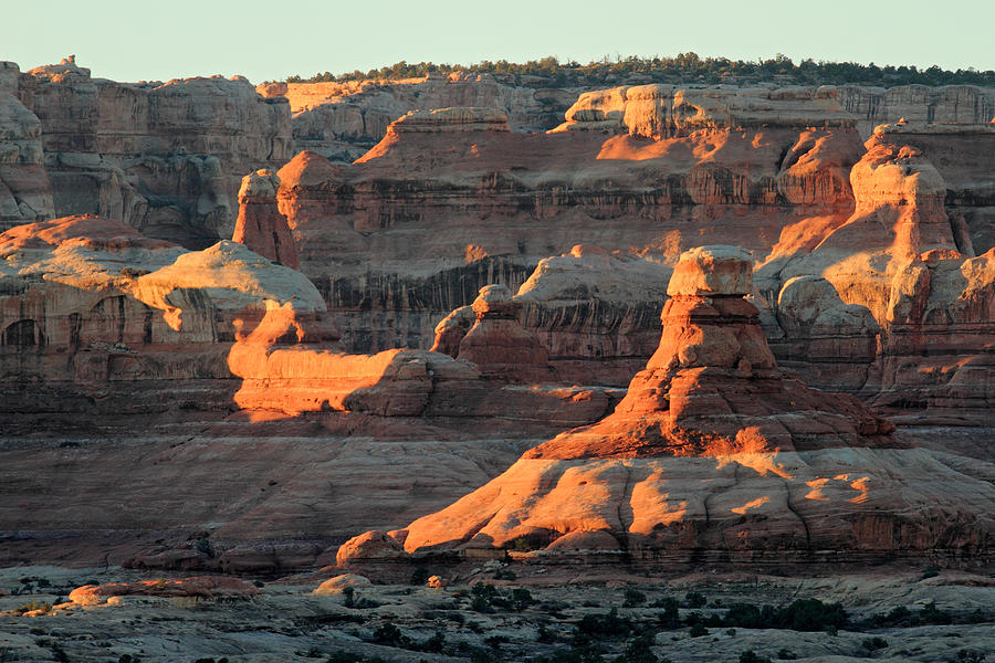 Sunrise at The Needles in Canyonlands National Park #1 Photograph by Pierre Leclerc Photography