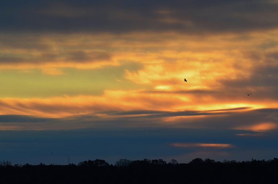 Sunrise Flyers  #1 Photograph by Lyle Crump