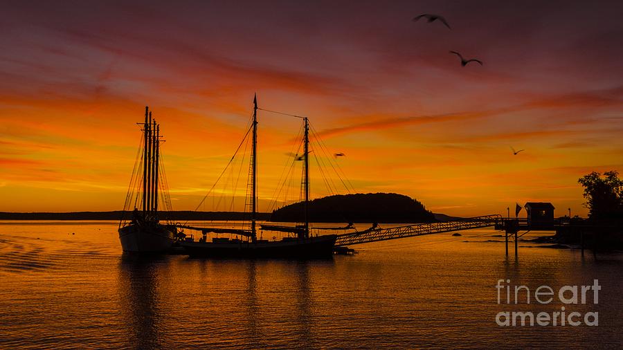 Sunrise from Bar Harbor Maine. #1 Photograph by New England Photography